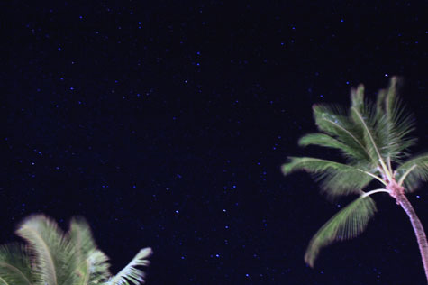 f0137324_21211493.jpg