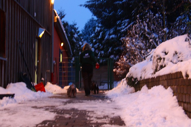 c0153740_3491444.jpg