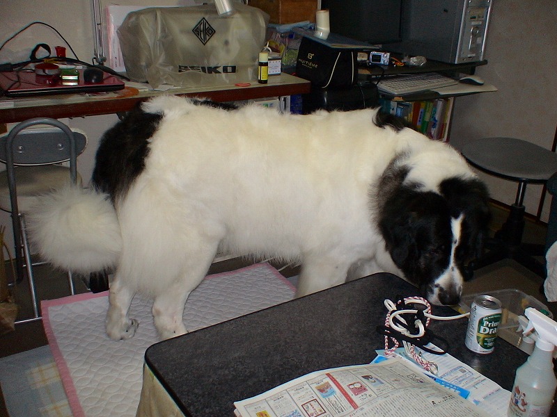 e0023643_22291727.jpg
