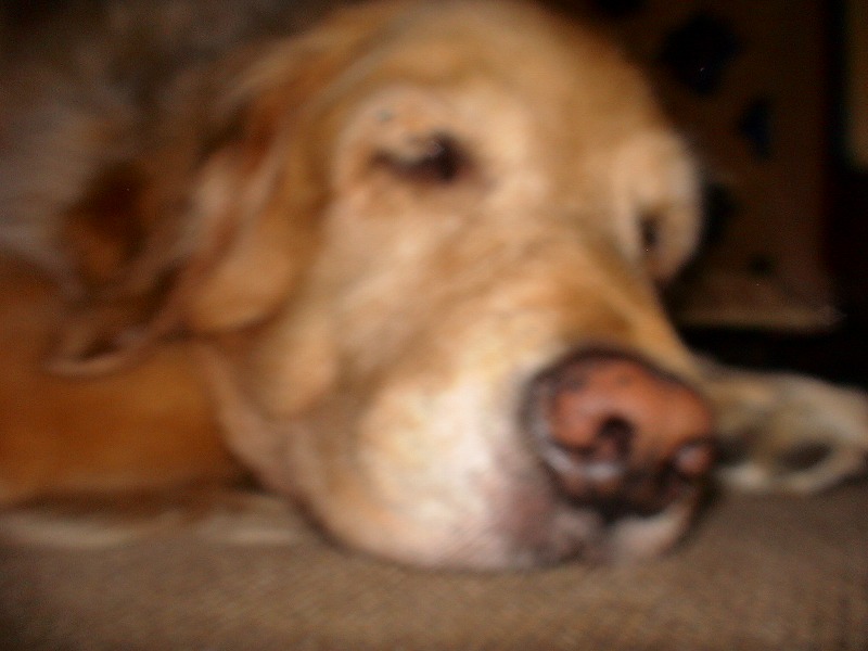 e0023643_2229307.jpg