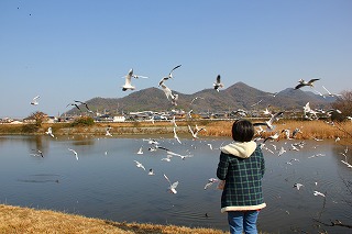 b0200747_16551150.jpg