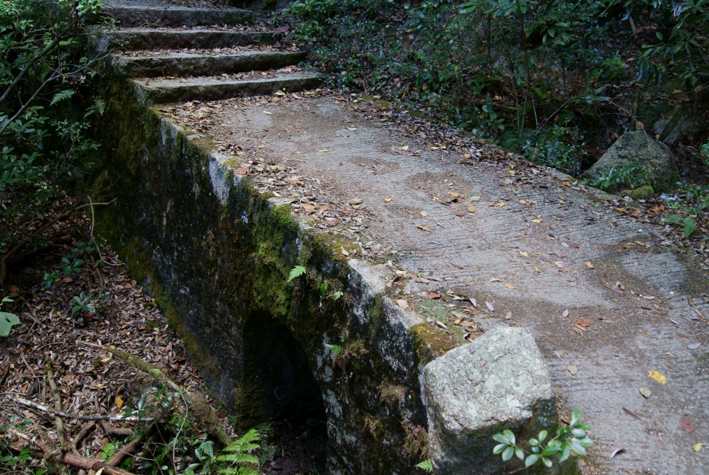 e0005253_1204463.jpg