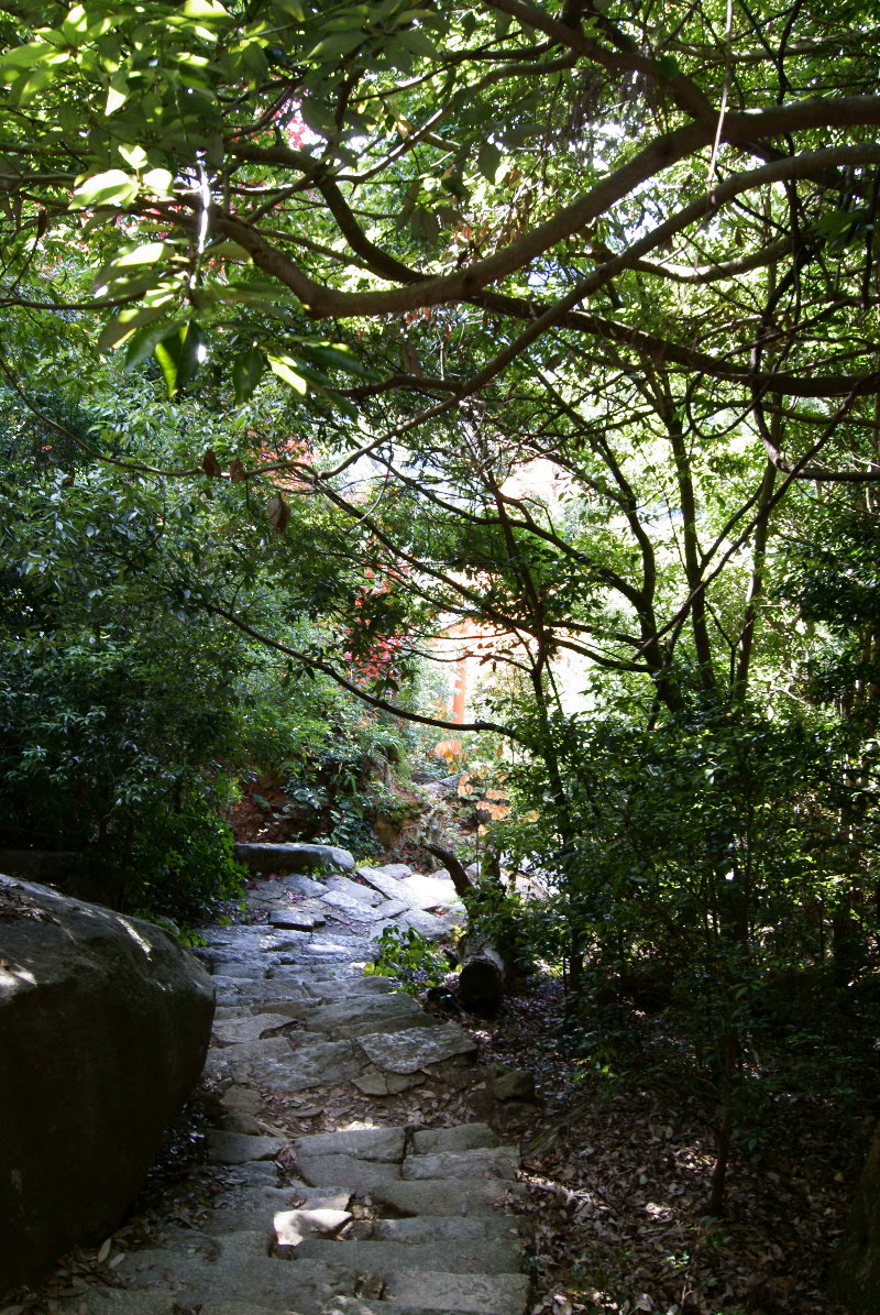 e0005253_12163.jpg