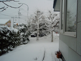 e0004756_1702589.jpg
