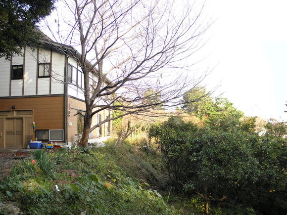 f0201157_018246.jpg