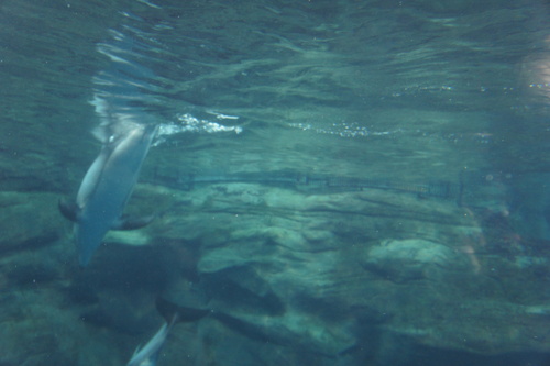 b0205760_13131416.jpg