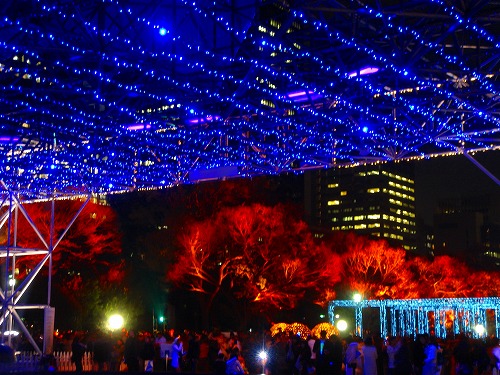 c0119160_6483587.jpg