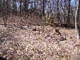 e0088260_10144748.jpg