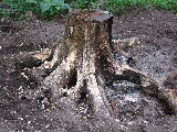 e0088260_10174573.jpg