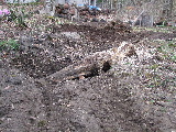 e0088260_10181425.jpg