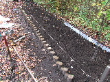 e0088260_10231755.jpg