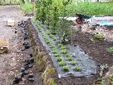 e0088260_1024593.jpg