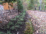 e0088260_10253696.jpg