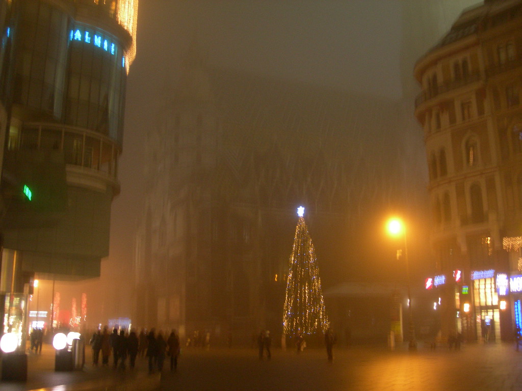 a0080183_5221168.jpg