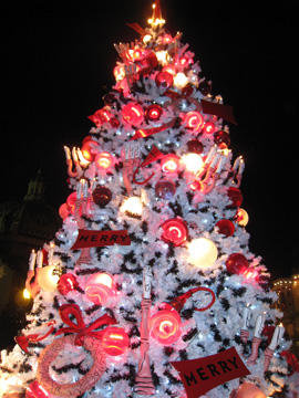 f0068883_16708.jpg