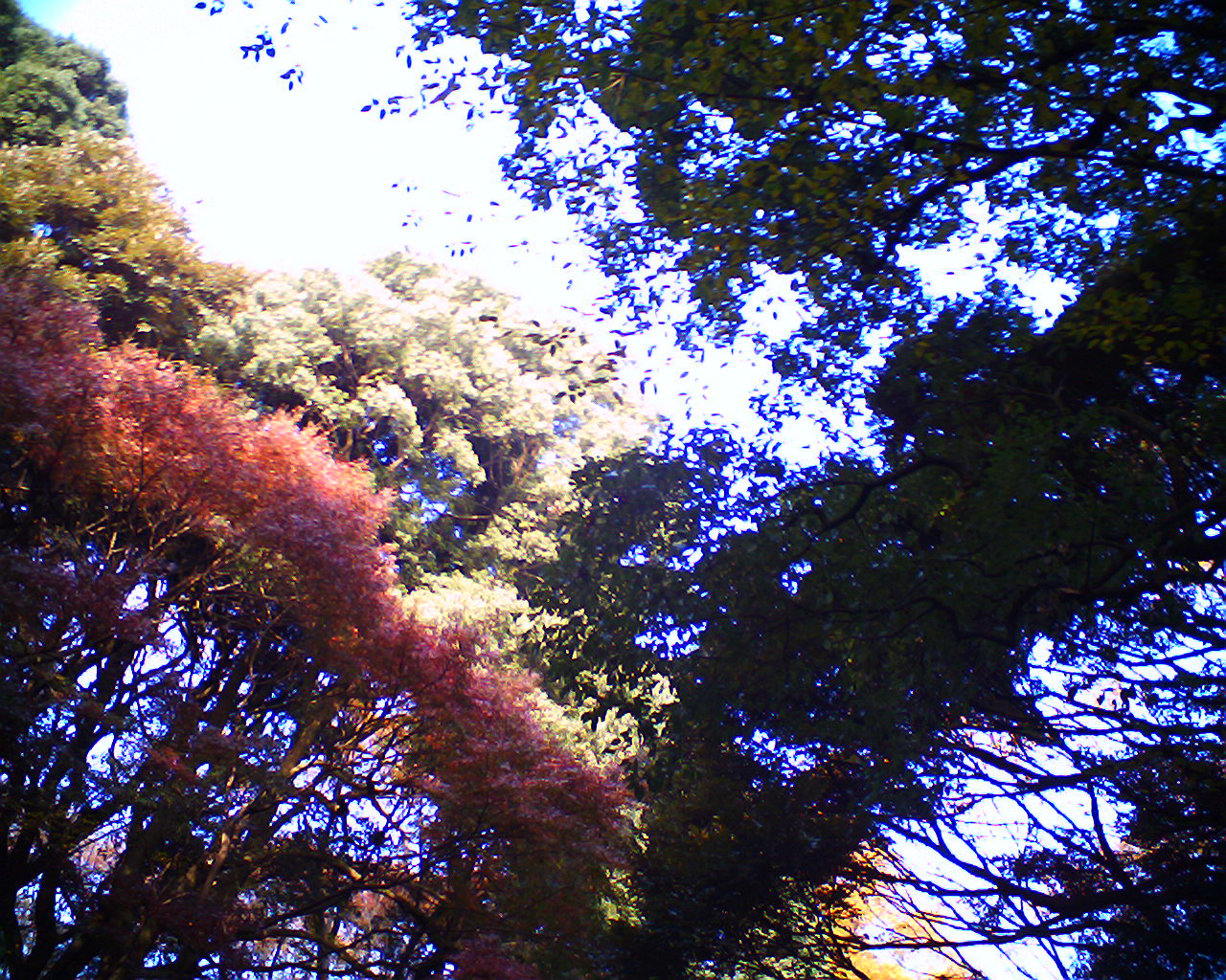 e0144986_0254674.jpg