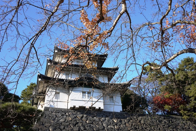 a0127090_1956247.jpg