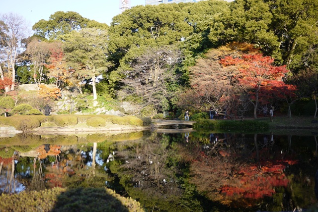 a0127090_20383545.jpg
