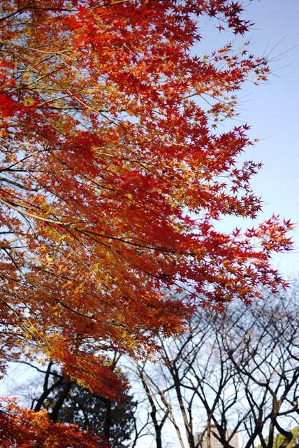 a0127090_205320.jpg