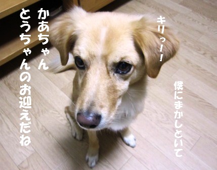c0196992_01761.jpg