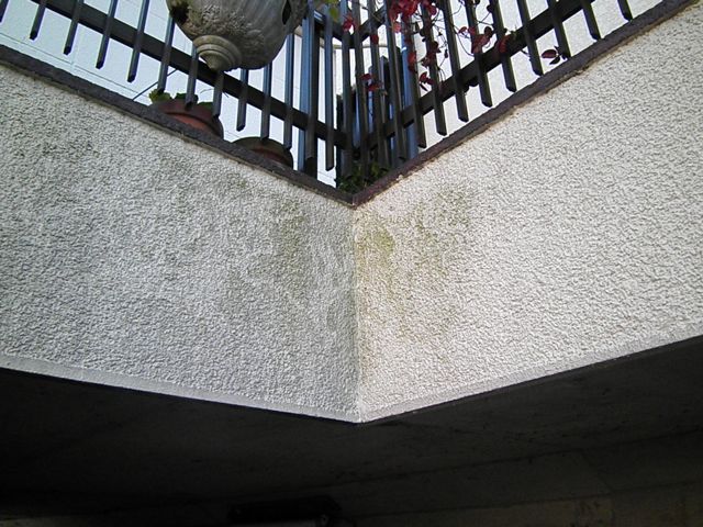 f0130894_1601388.jpg