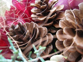 c0172698_16355131.jpg