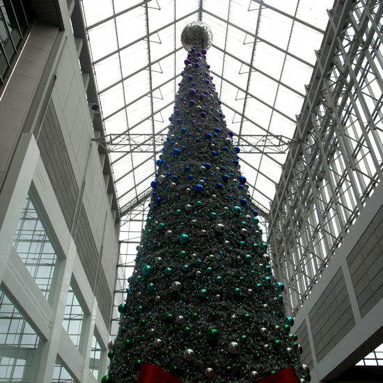 d0181907_2135949.jpg