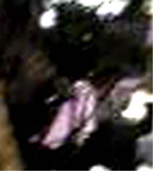 e0103408_13111899.jpg