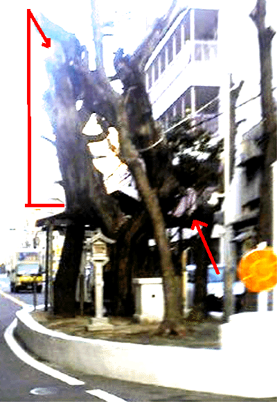 e0103408_1312490.gif