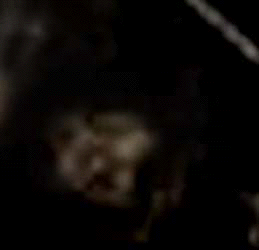 e0103408_14059.gif
