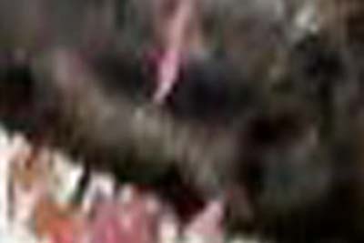 e0103408_17332852.jpg