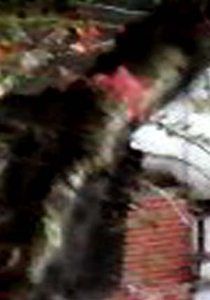 e0103408_17444775.jpg