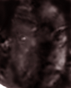 e0103408_17452866.gif
