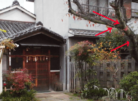 e0103408_17454865.gif