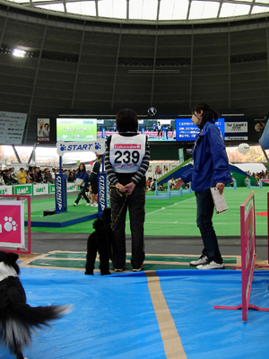 f0108112_23143290.jpg