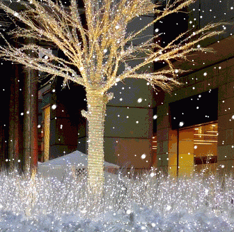 b0062214_2046940.gif