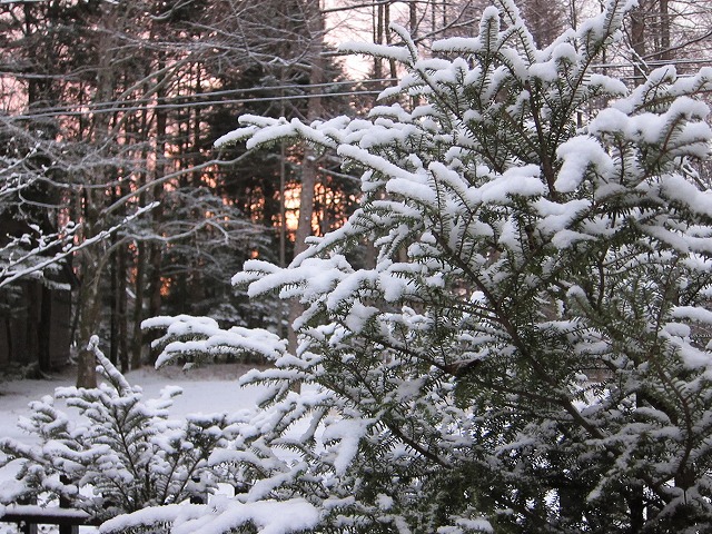 e0192217_8153810.jpg