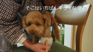 b0197418_14531095.jpg