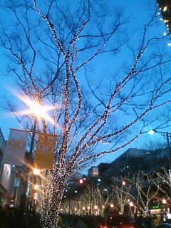 a0056722_1441093.jpg