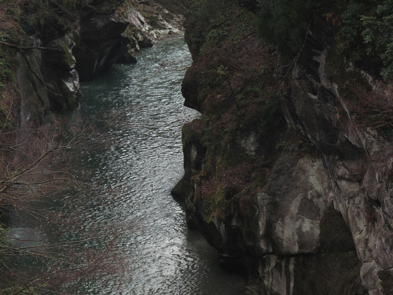 b0177233_545921.jpg