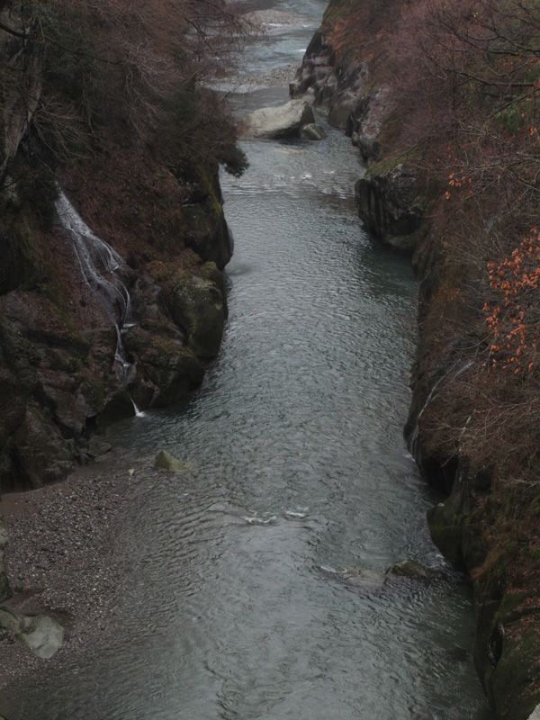 b0177233_551973.jpg