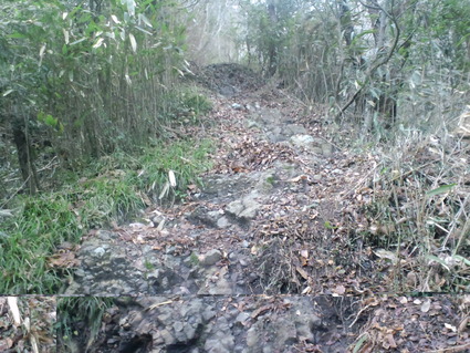c0108034_180161.jpg