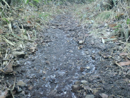 c0108034_1821319.jpg