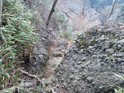 c0108034_188993.jpg