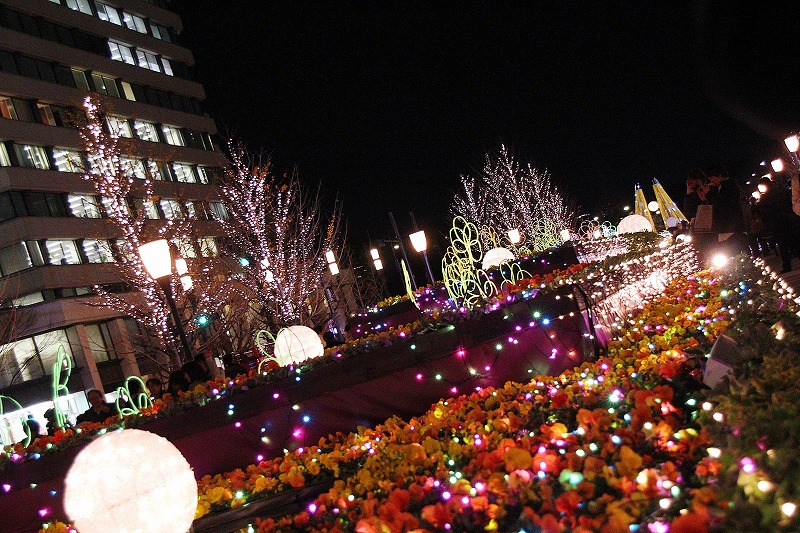 e0052135_23351644.jpg