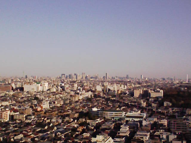 e0089438_1055786.jpg