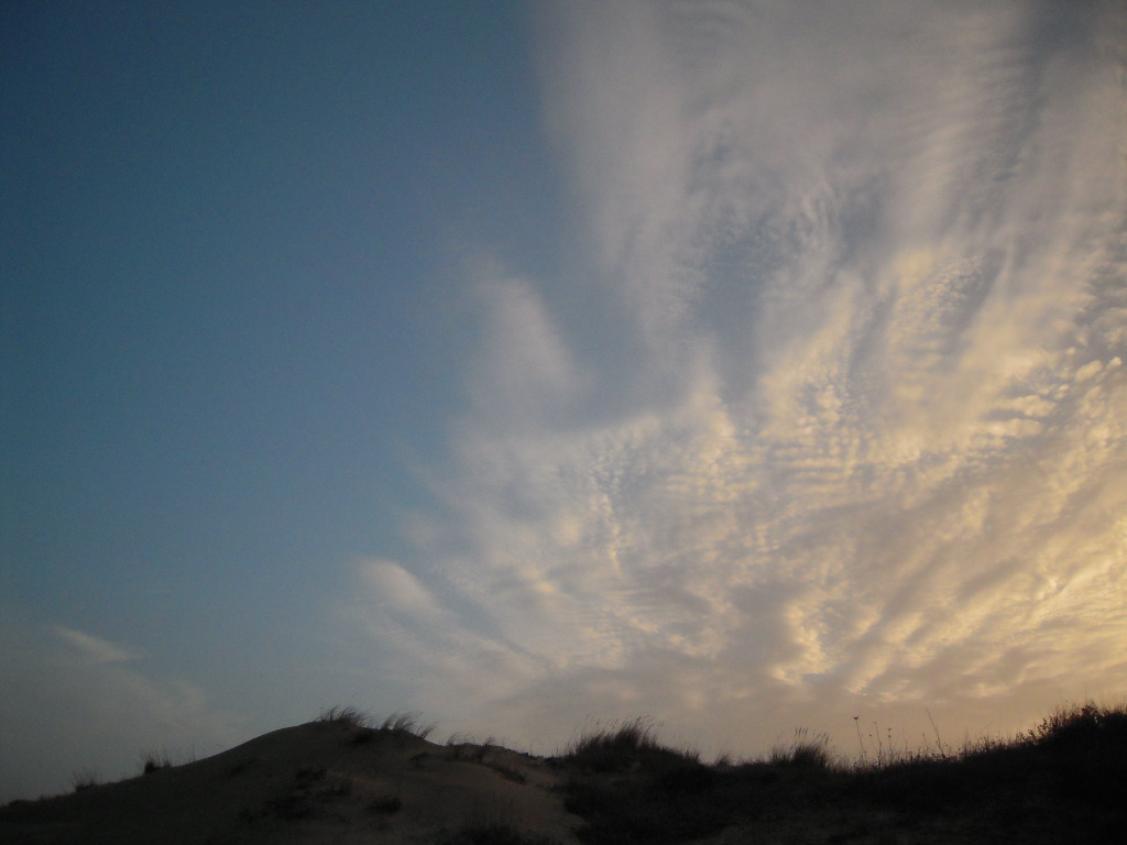 d0170140_8102662.jpg