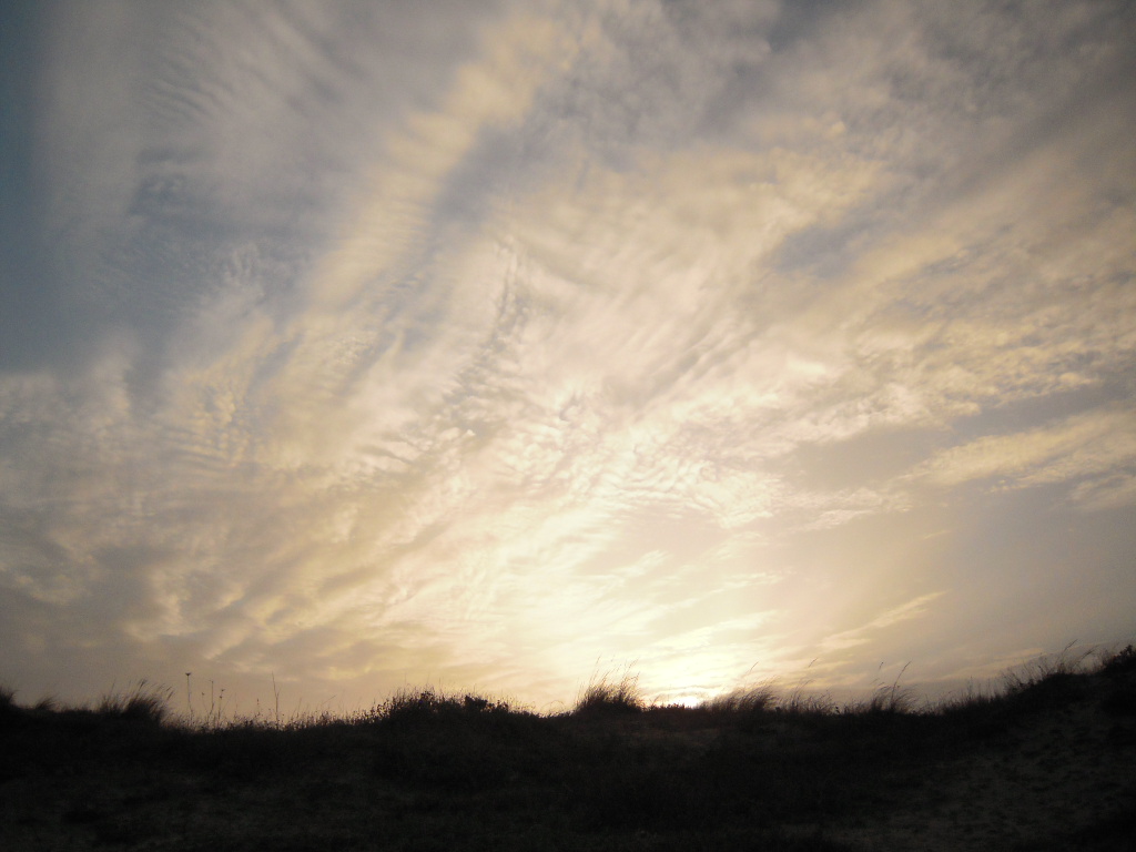 d0170140_8131796.jpg
