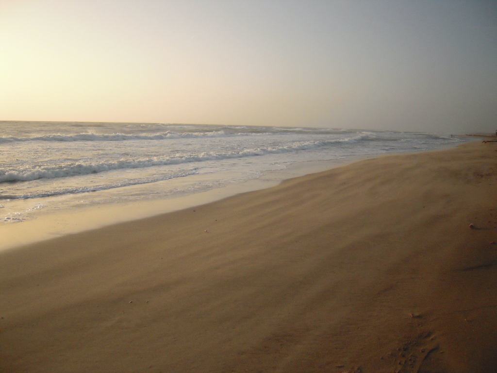 d0170140_855435.jpg