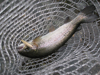 f0065341_18122575.jpg
